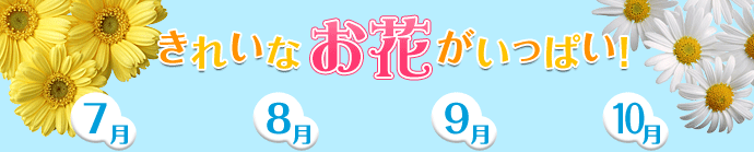きれいなお花がいっぱい！