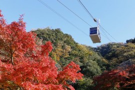 金華山ロープウェーイメージ