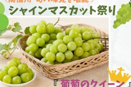ｼｬｲﾝﾏｽｶｯﾄイメージ