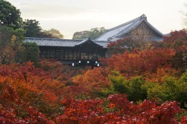 写真提供：大本山東福寺　紅葉（イメージ）