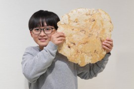 たこぺったんイメージ